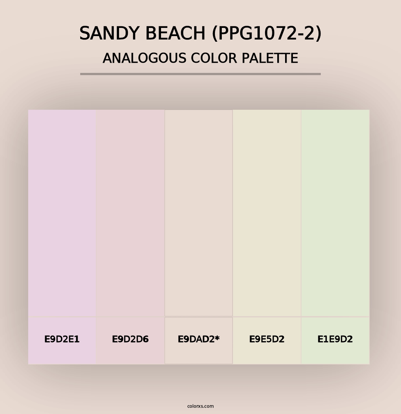 Sandy Beach (PPG1072-2) - Analogous Color Palette