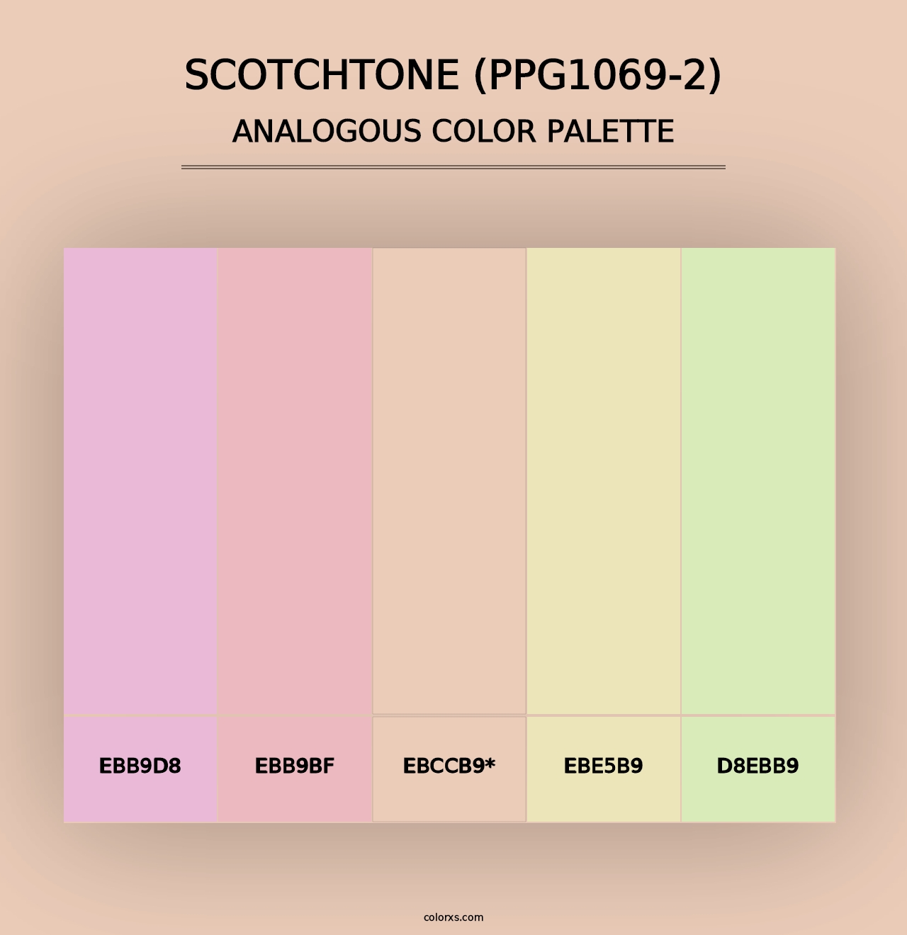 Scotchtone (PPG1069-2) - Analogous Color Palette