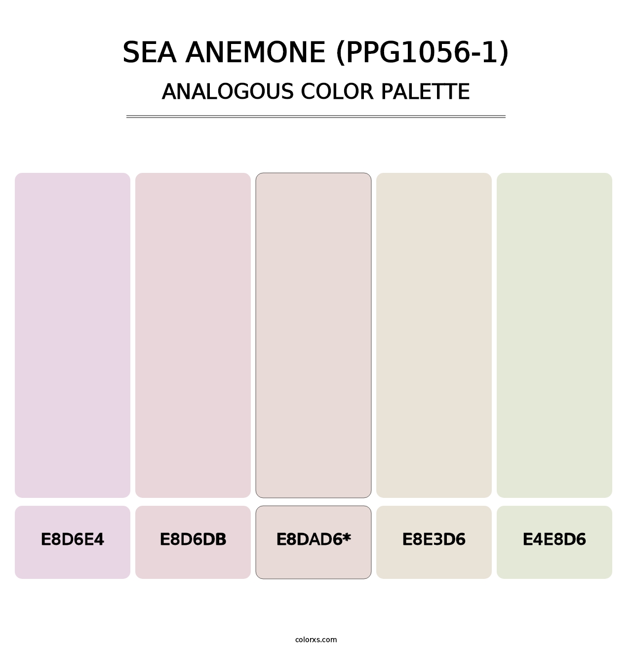 Sea Anemone (PPG1056-1) - Analogous Color Palette