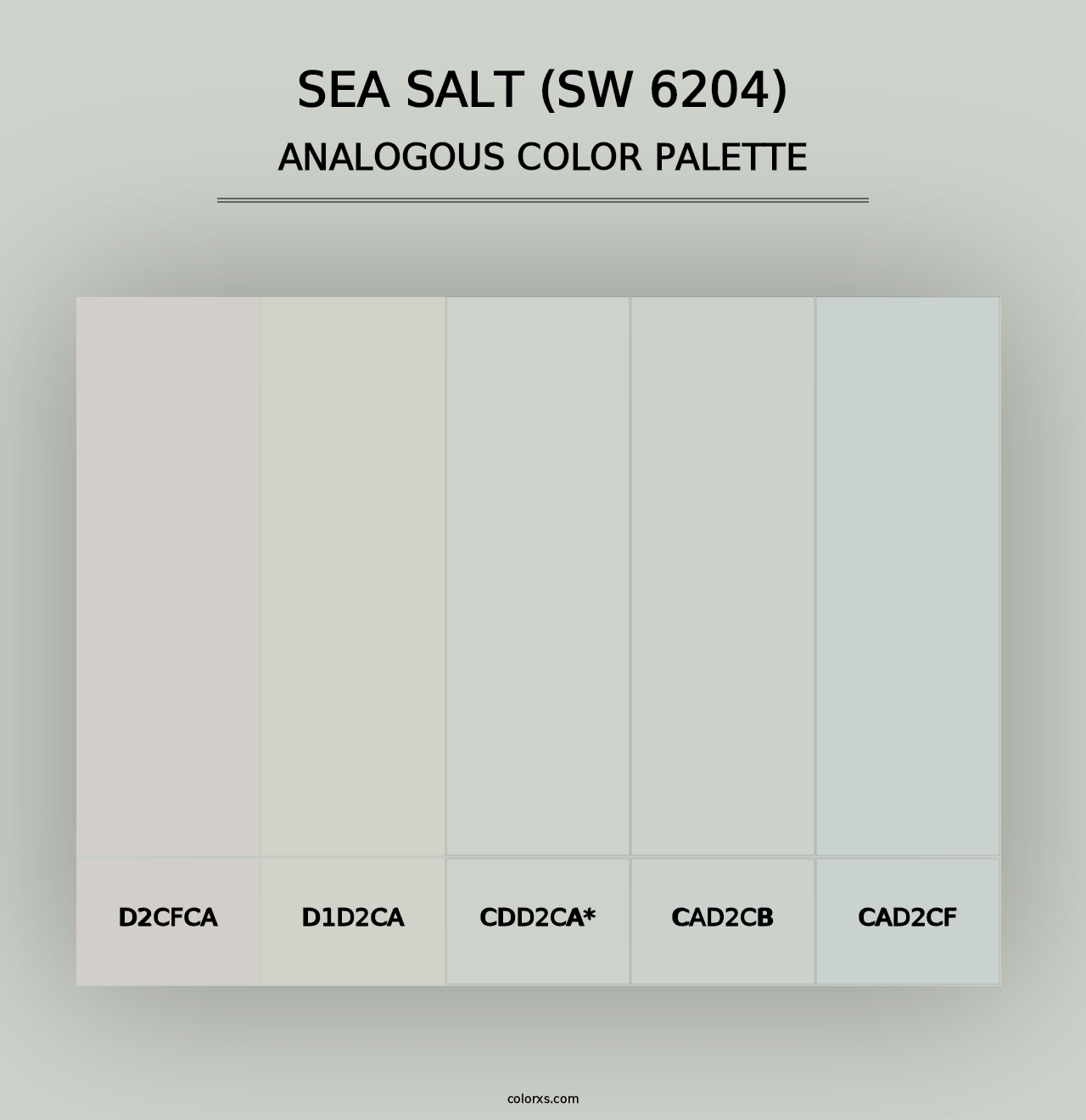 Sea Salt (SW 6204) - Analogous Color Palette