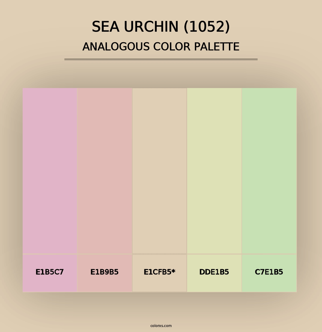 Sea Urchin (1052) - Analogous Color Palette