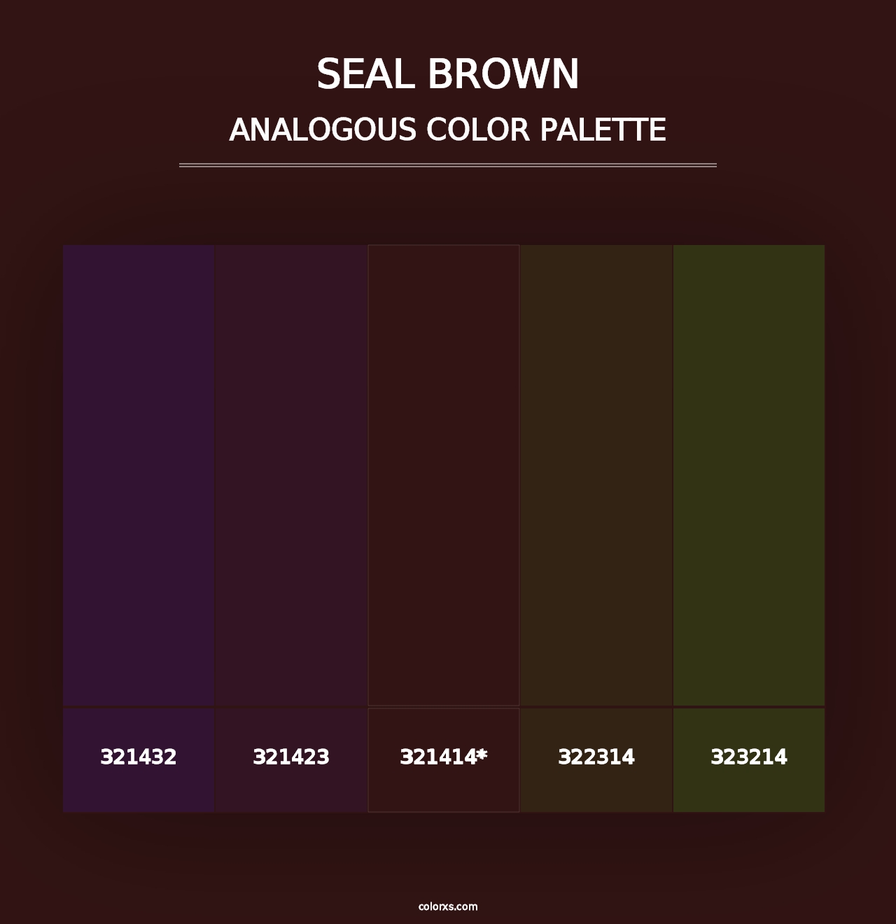 Seal brown - Analogous Color Palette