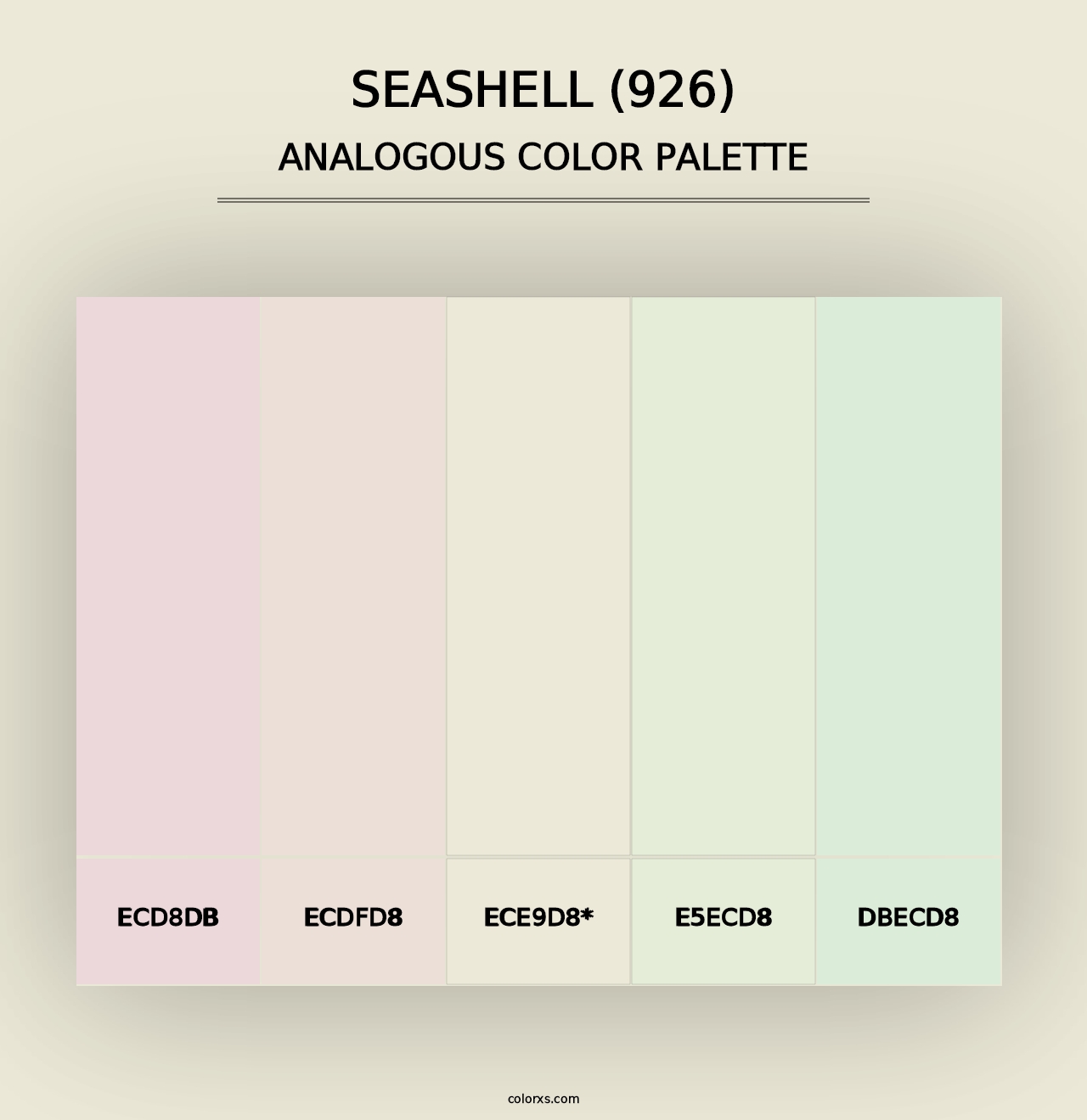 Seashell (926) - Analogous Color Palette