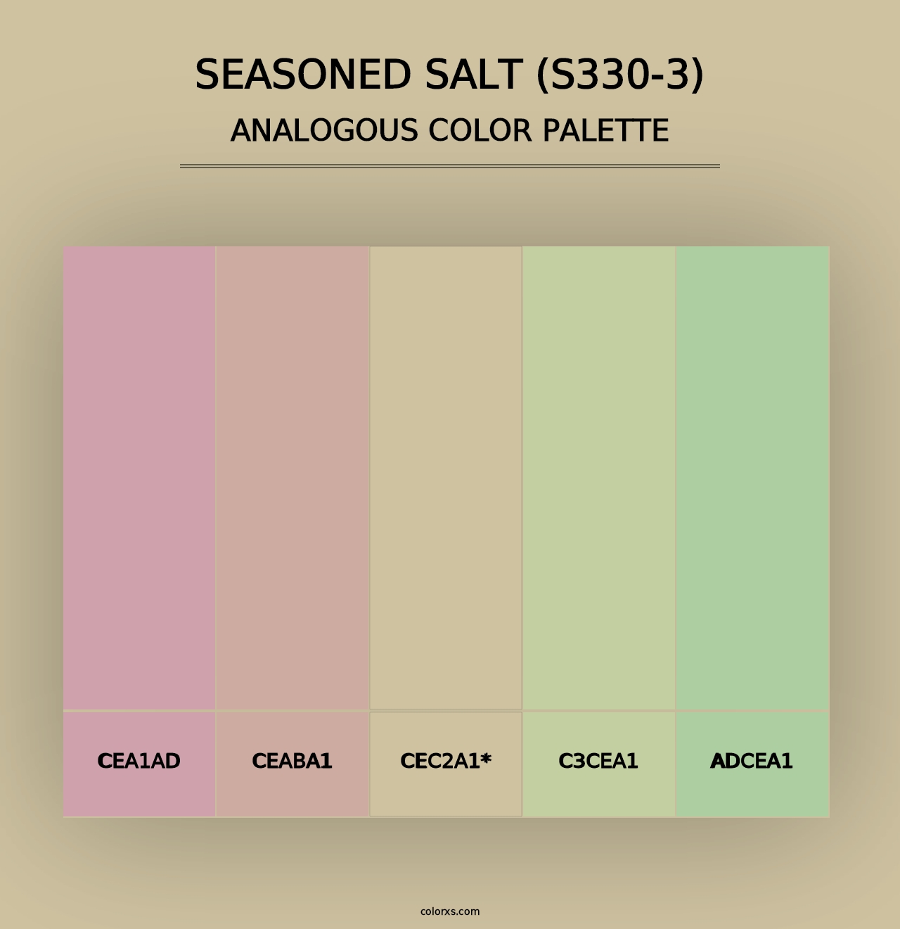 Seasoned Salt (S330-3) - Analogous Color Palette