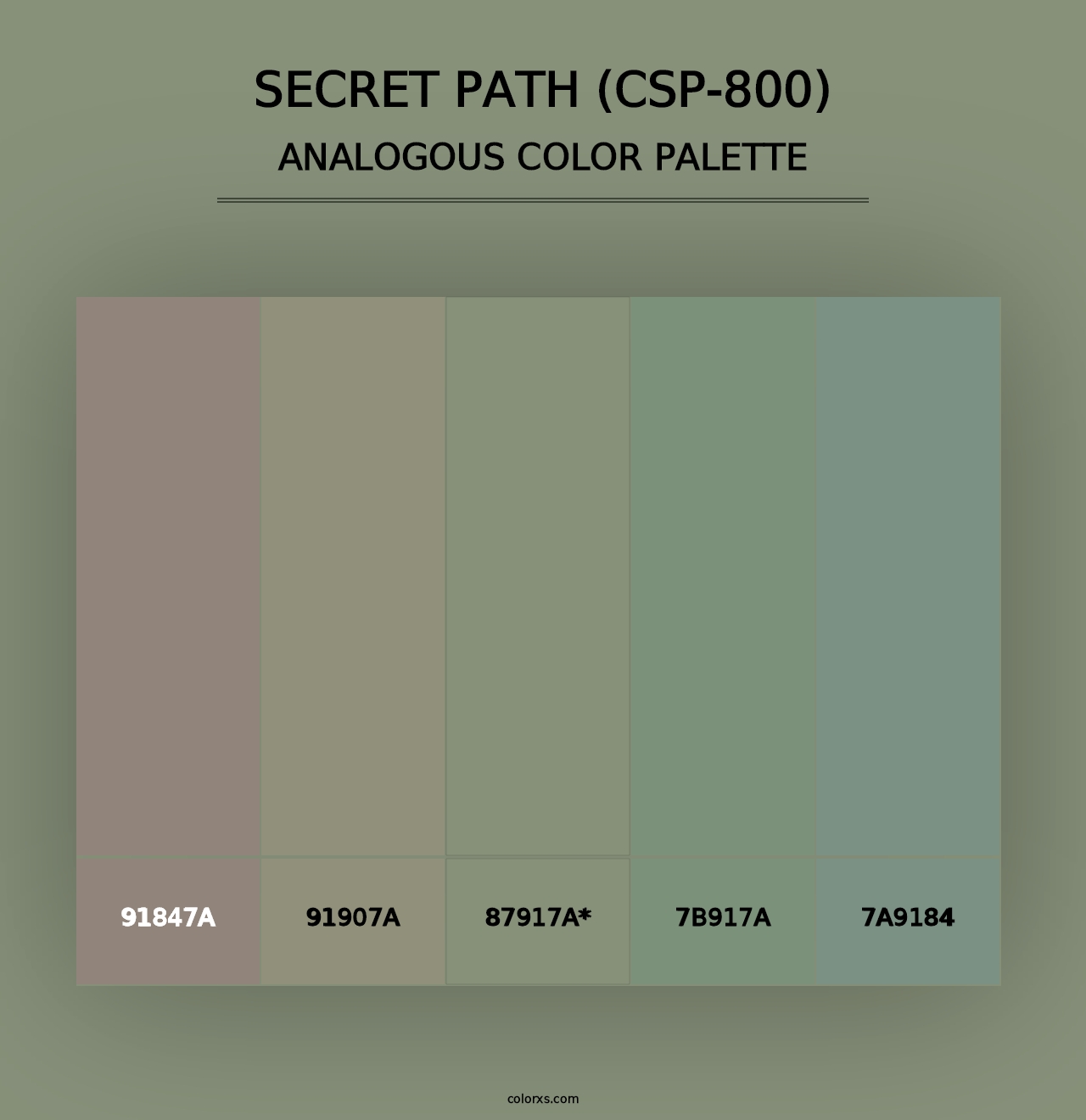 Secret Path (CSP-800) - Analogous Color Palette