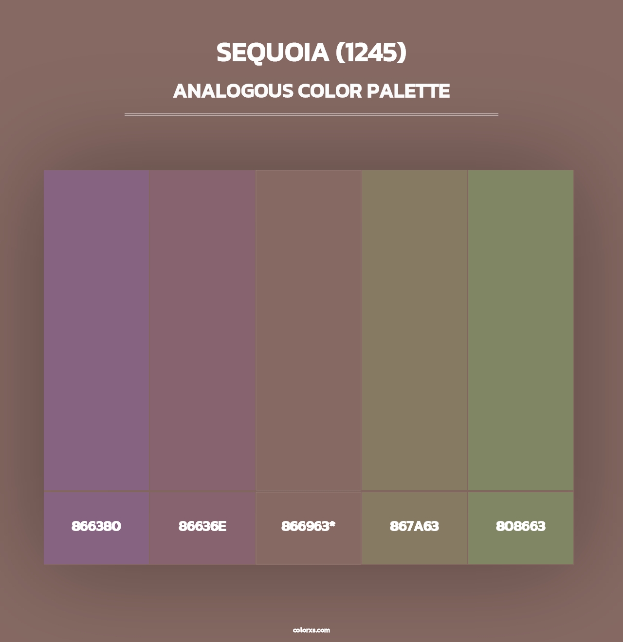 Sequoia (1245) - Analogous Color Palette