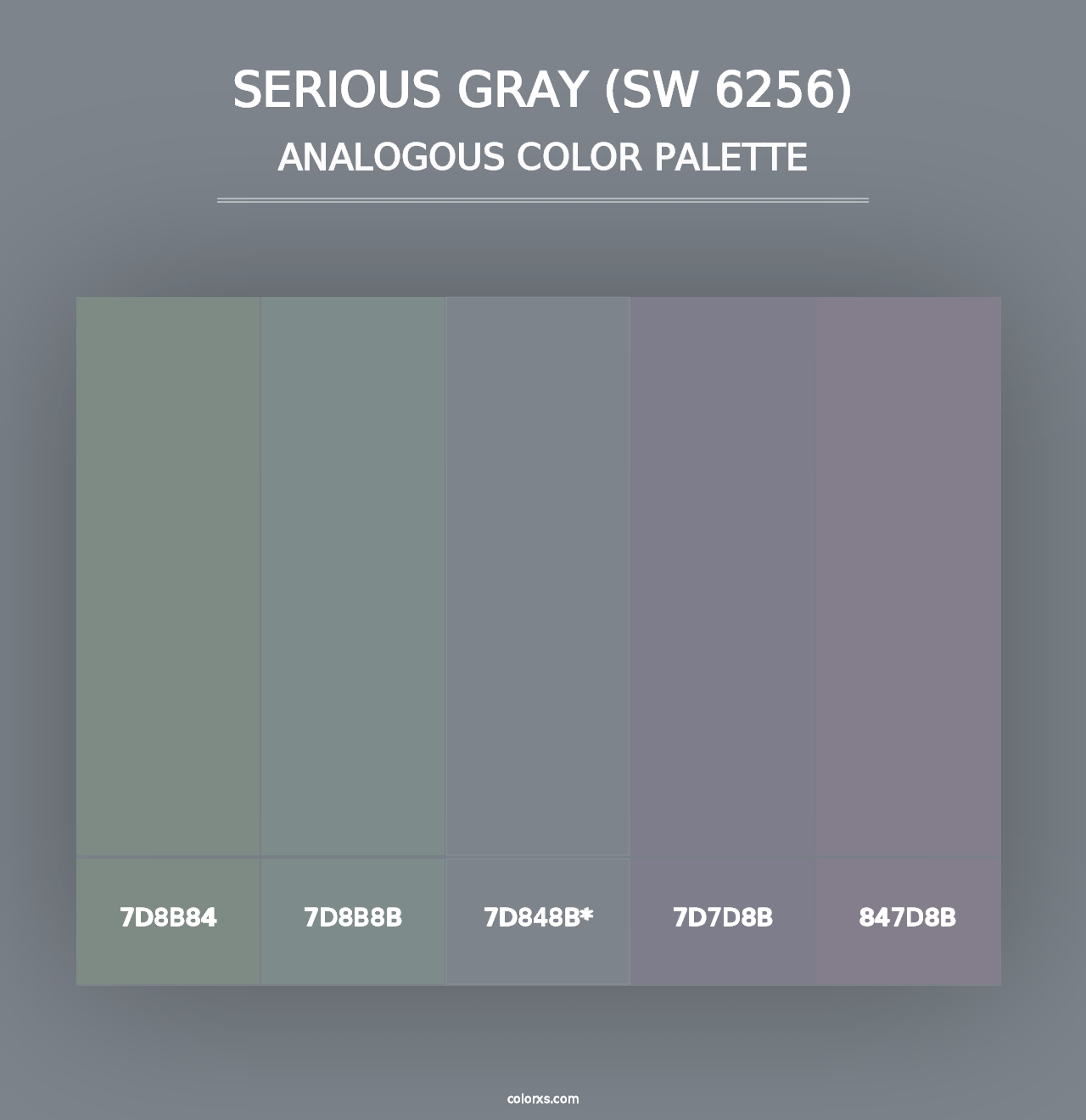 Serious Gray (SW 6256) - Analogous Color Palette