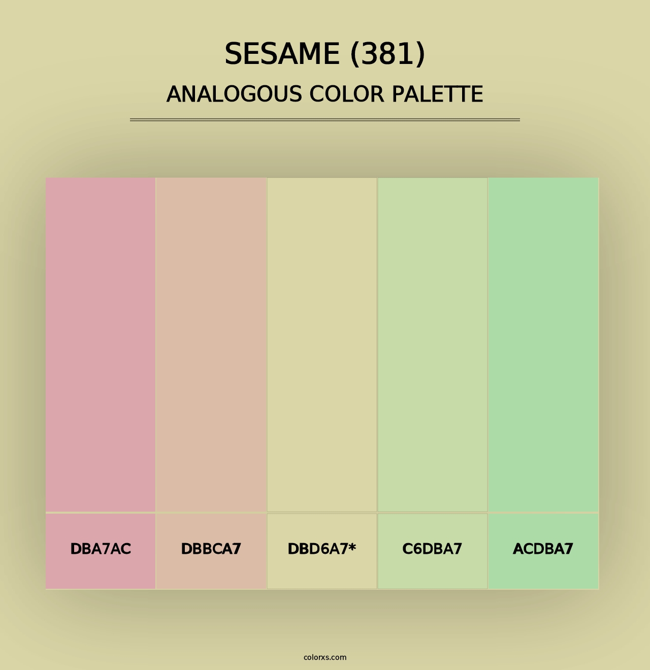 Sesame (381) - Analogous Color Palette