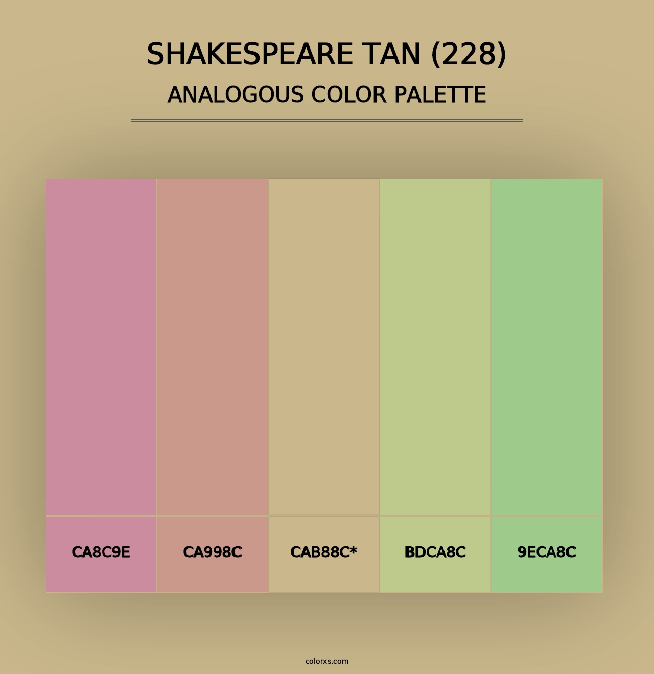 Shakespeare Tan (228) - Analogous Color Palette