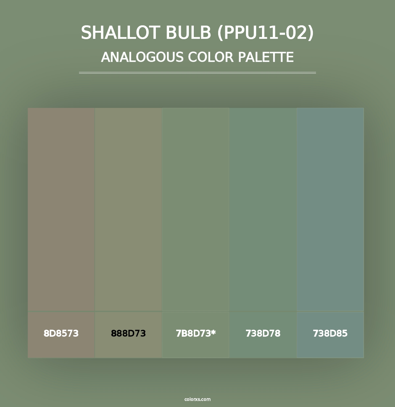 Shallot Bulb (PPU11-02) - Analogous Color Palette