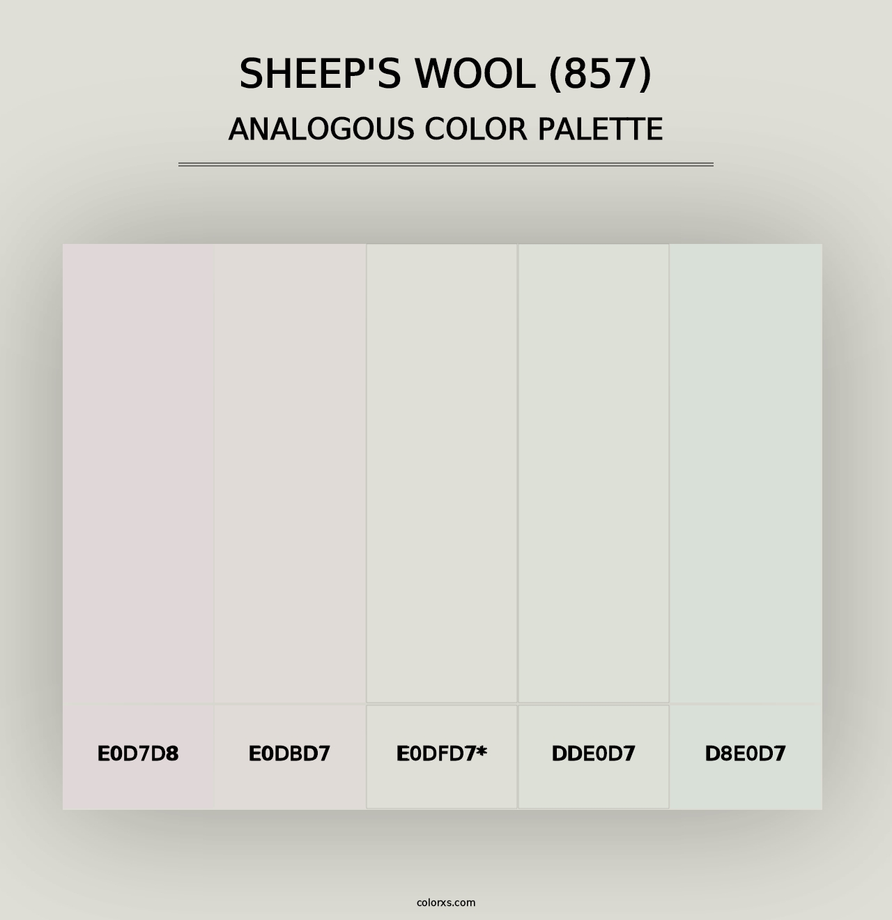 Sheep's Wool (857) - Analogous Color Palette