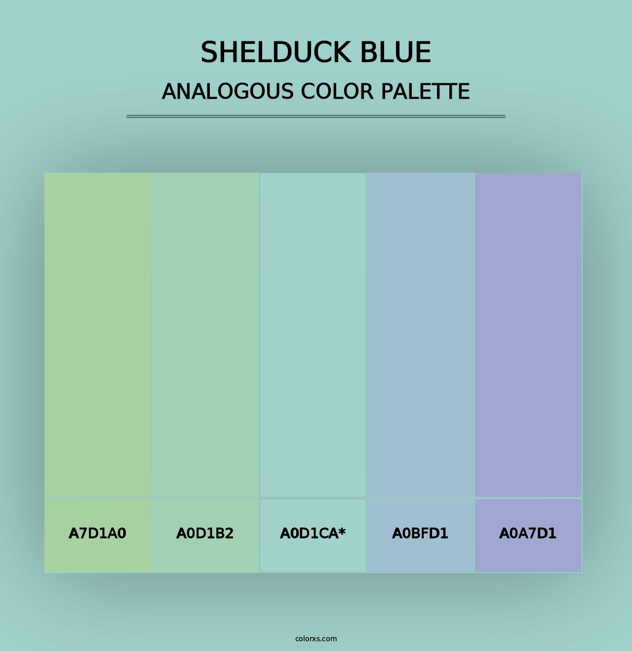 Shelduck Blue - Analogous Color Palette