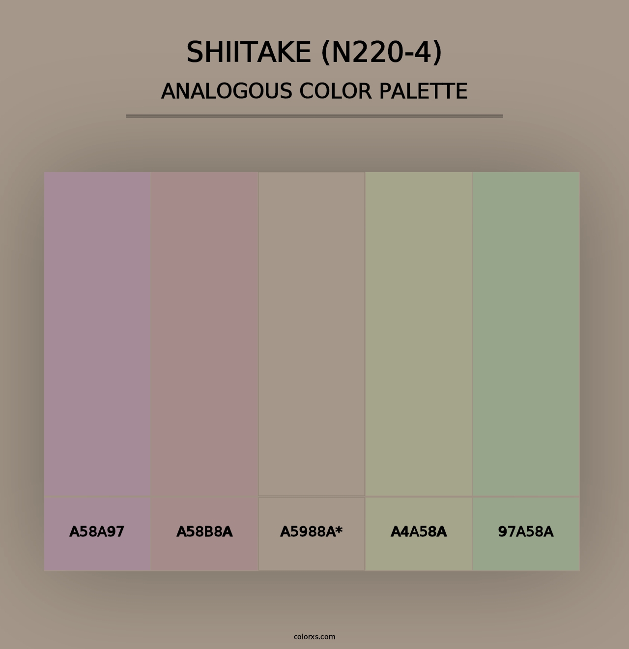 Shiitake (N220-4) - Analogous Color Palette