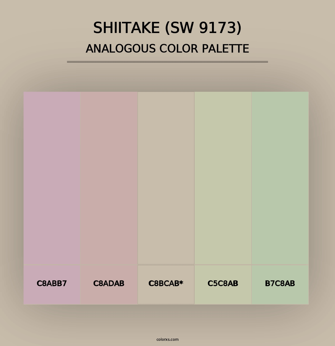 Shiitake (SW 9173) - Analogous Color Palette