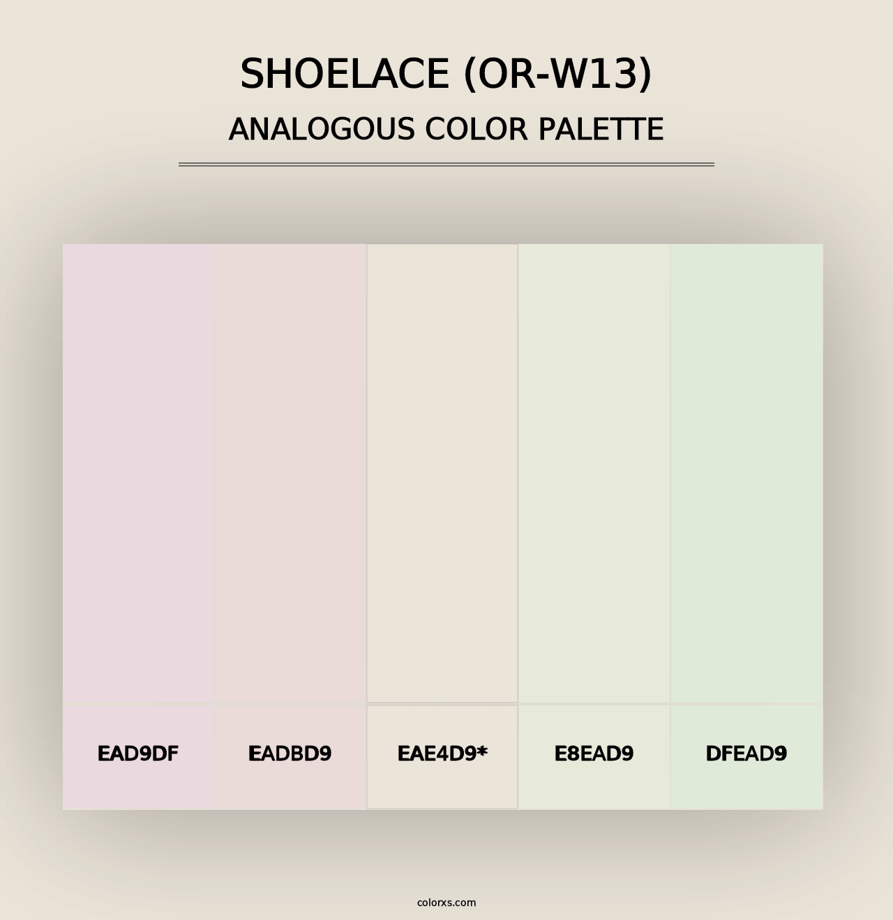 Shoelace (OR-W13) - Analogous Color Palette