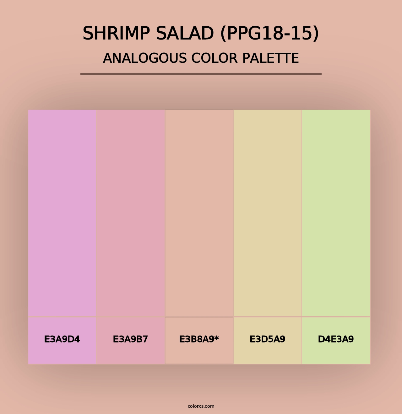 Shrimp Salad (PPG18-15) - Analogous Color Palette