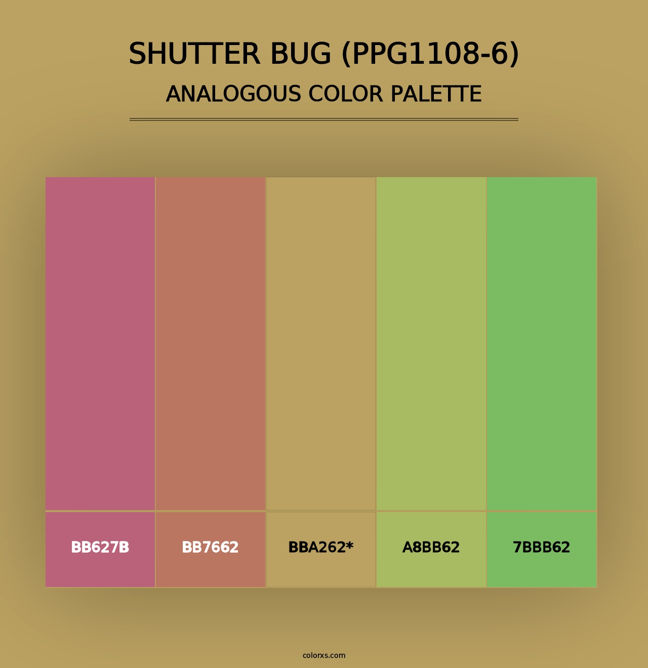 Shutter Bug (PPG1108-6) - Analogous Color Palette