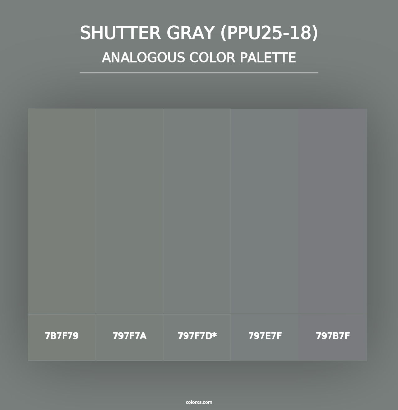 Shutter Gray (PPU25-18) - Analogous Color Palette