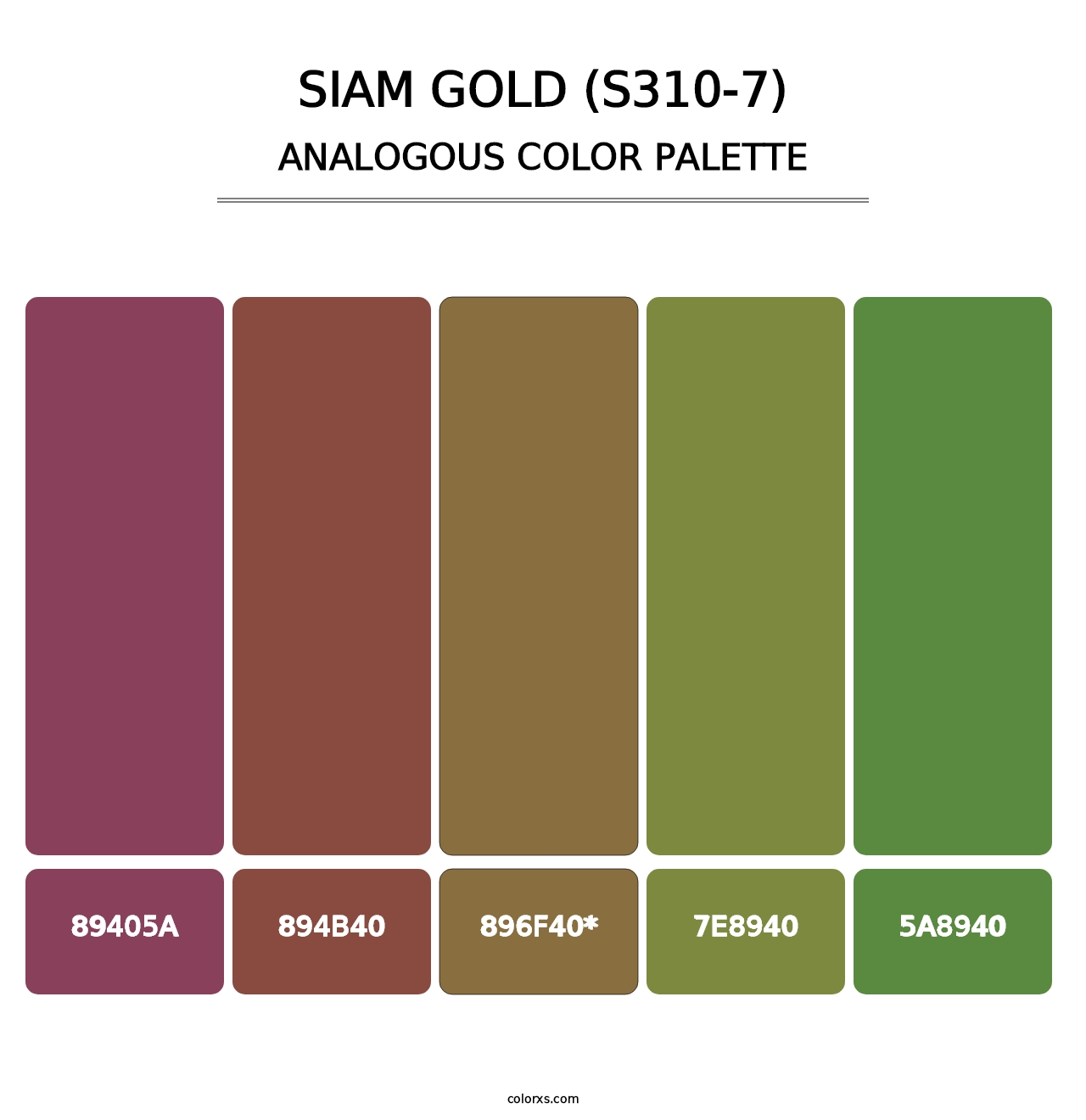 Siam Gold (S310-7) - Analogous Color Palette