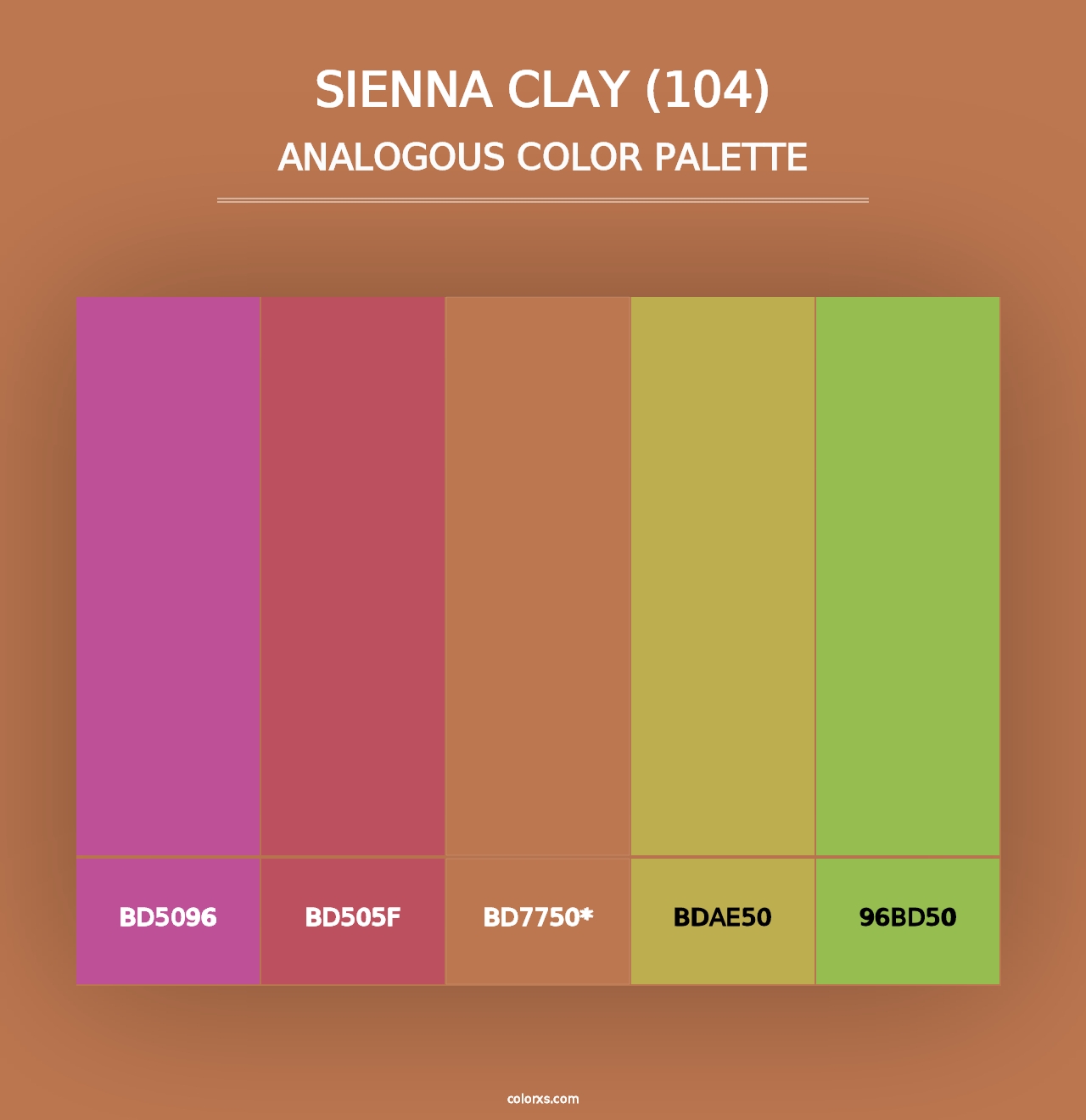 Sienna Clay (104) - Analogous Color Palette