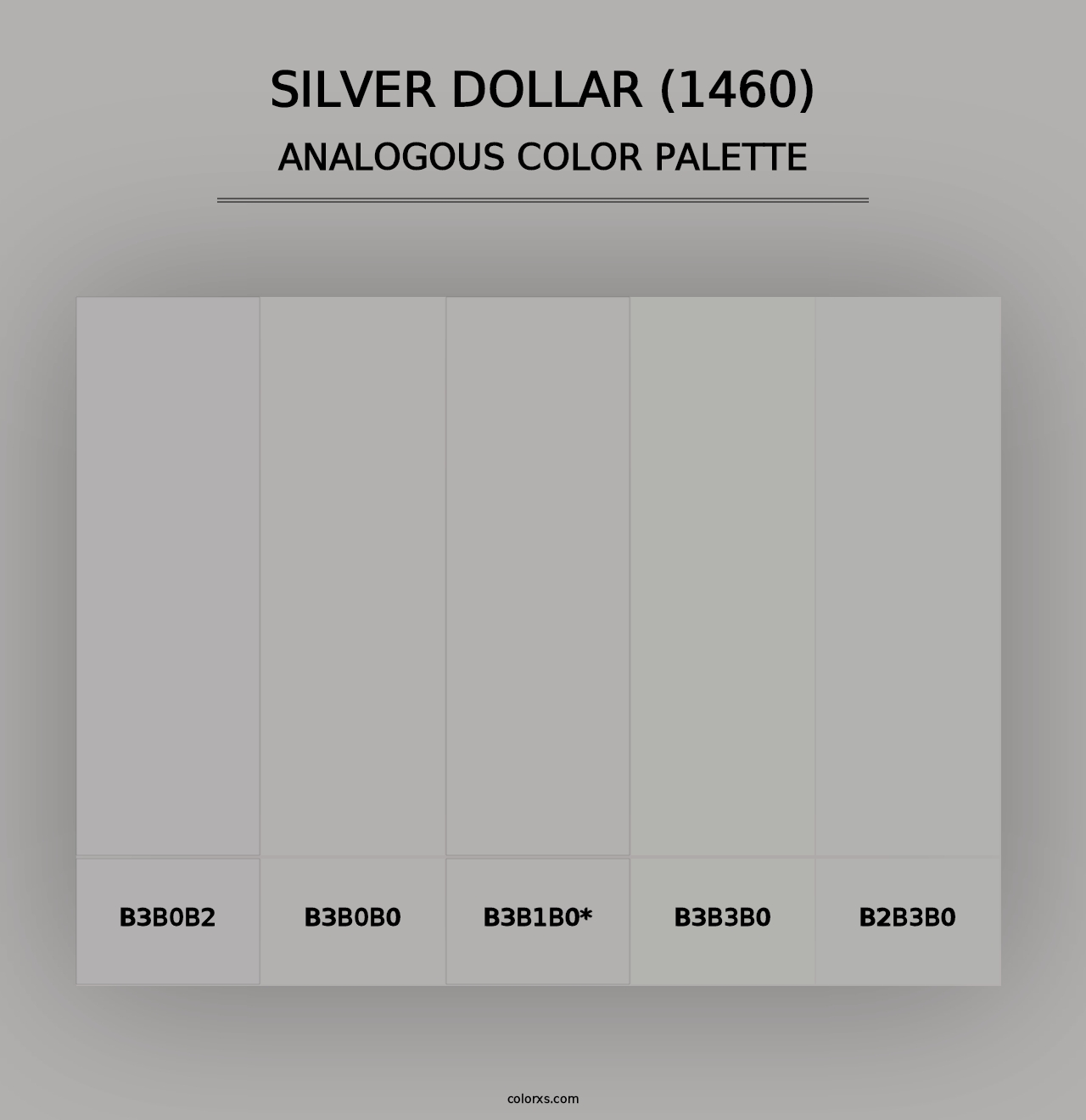 Silver Dollar (1460) - Analogous Color Palette