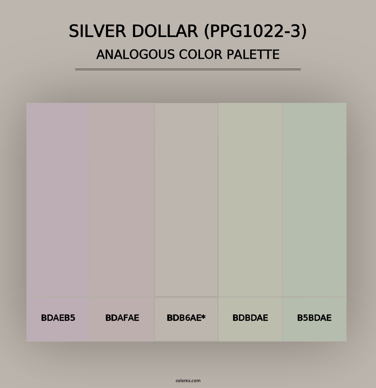 Silver Dollar (PPG1022-3) - Analogous Color Palette