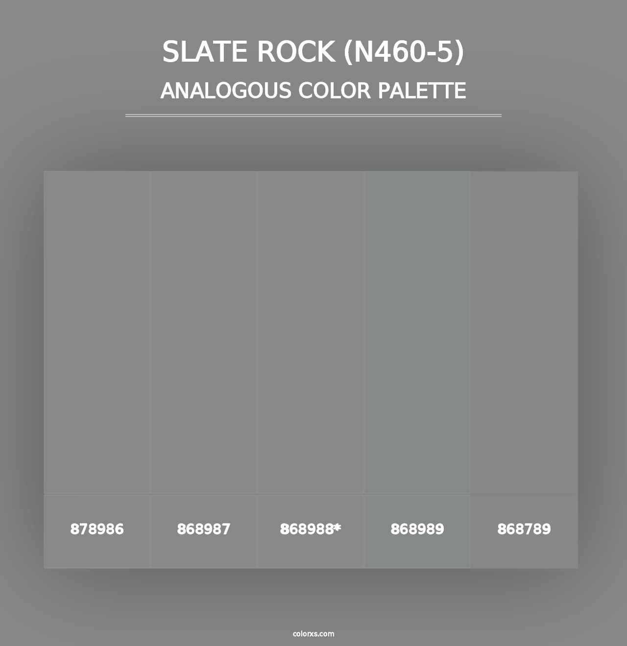 Slate Rock (N460-5) - Analogous Color Palette