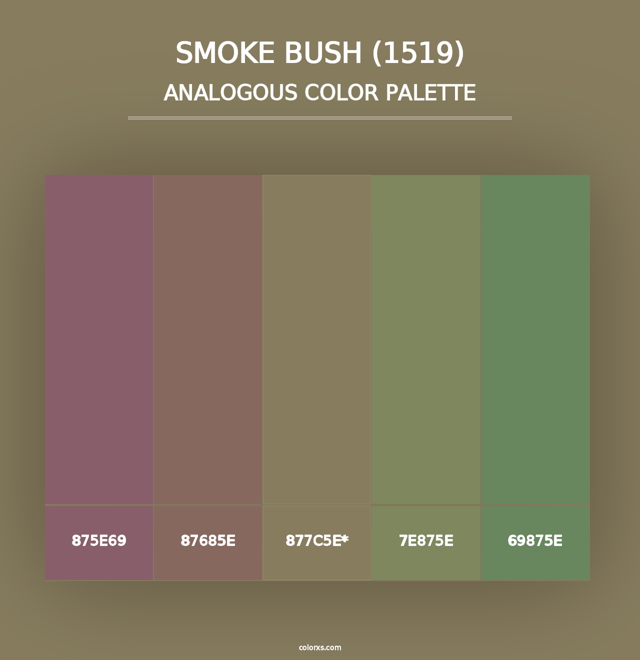 Smoke Bush (1519) - Analogous Color Palette