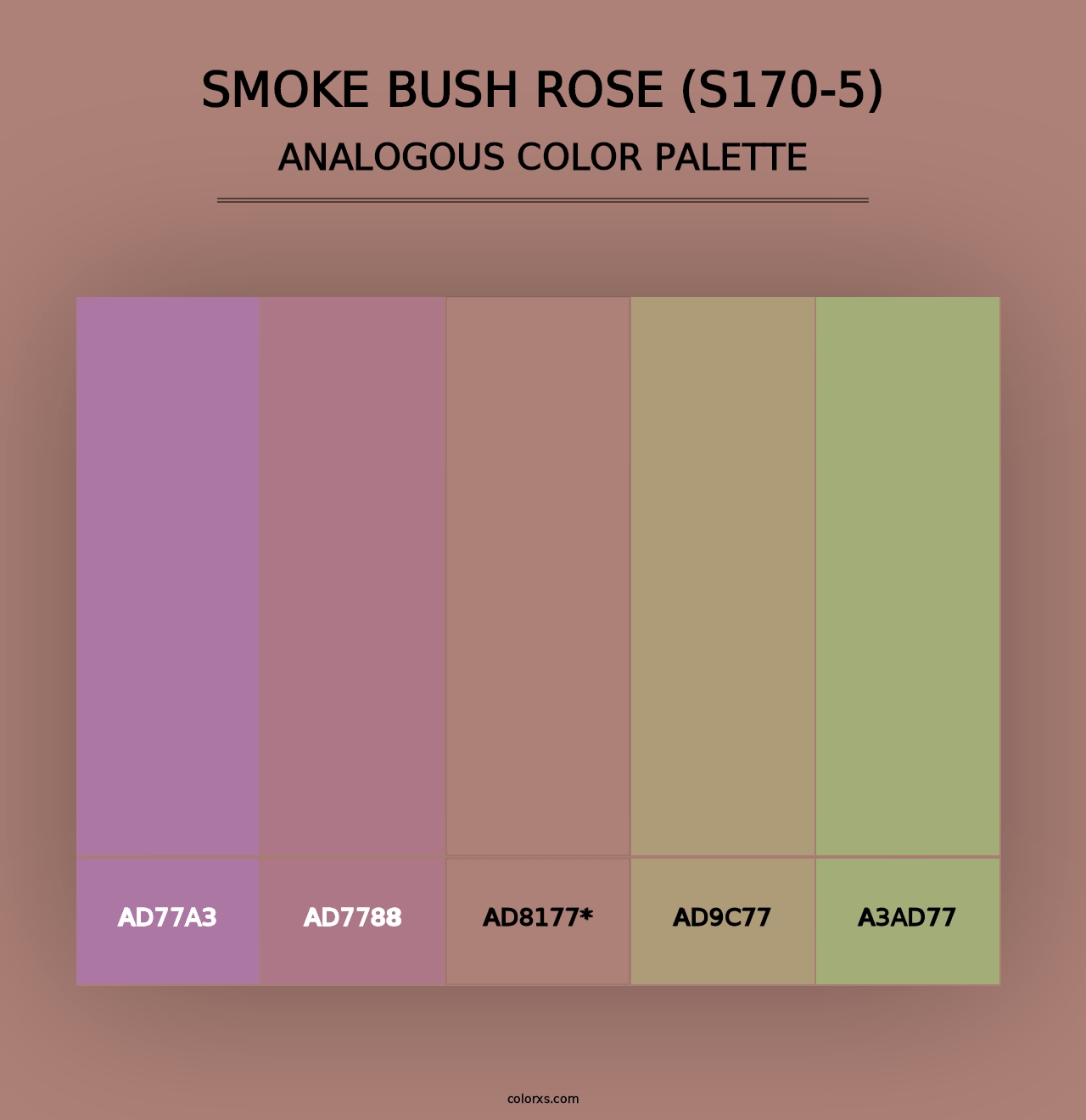 Smoke Bush Rose (S170-5) - Analogous Color Palette