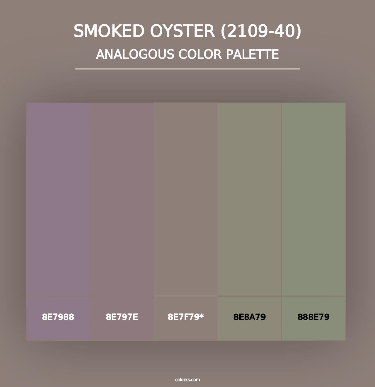 Smoked Oyster (2109-40) - Analogous Color Palette