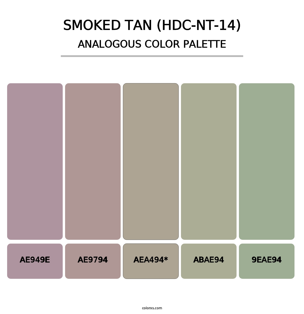 Smoked Tan (HDC-NT-14) - Analogous Color Palette