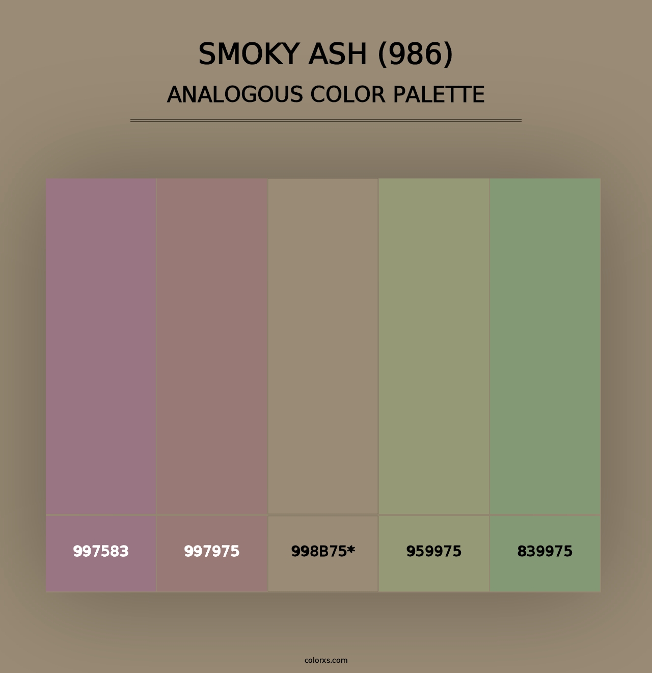 Smoky Ash (986) - Analogous Color Palette