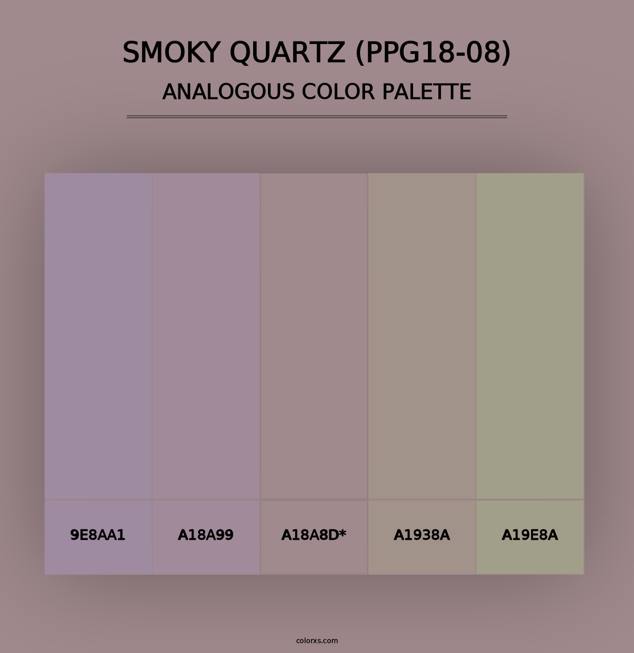 Smoky Quartz (PPG18-08) - Analogous Color Palette