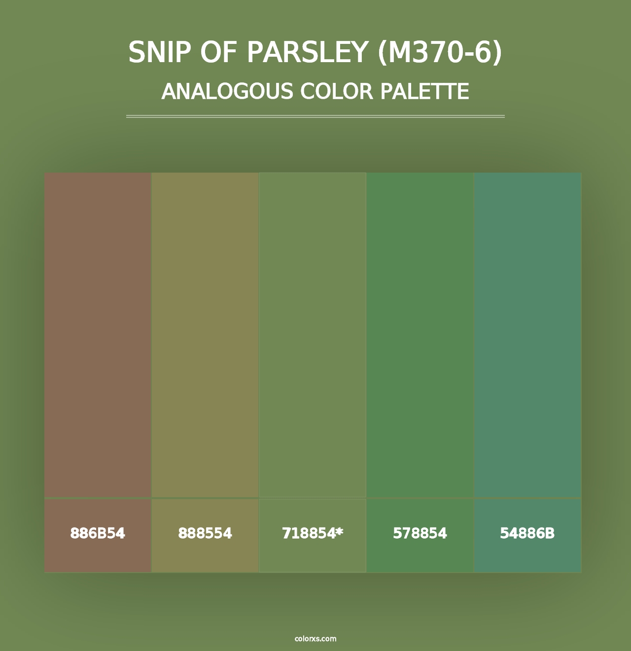 Snip Of Parsley (M370-6) - Analogous Color Palette