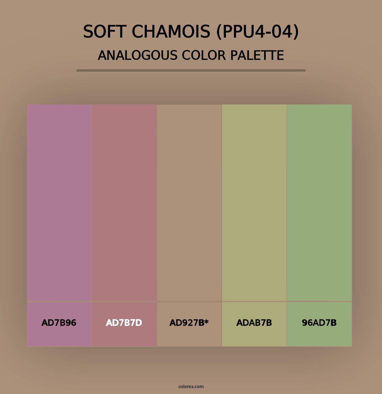 Soft Chamois (PPU4-04) - Analogous Color Palette