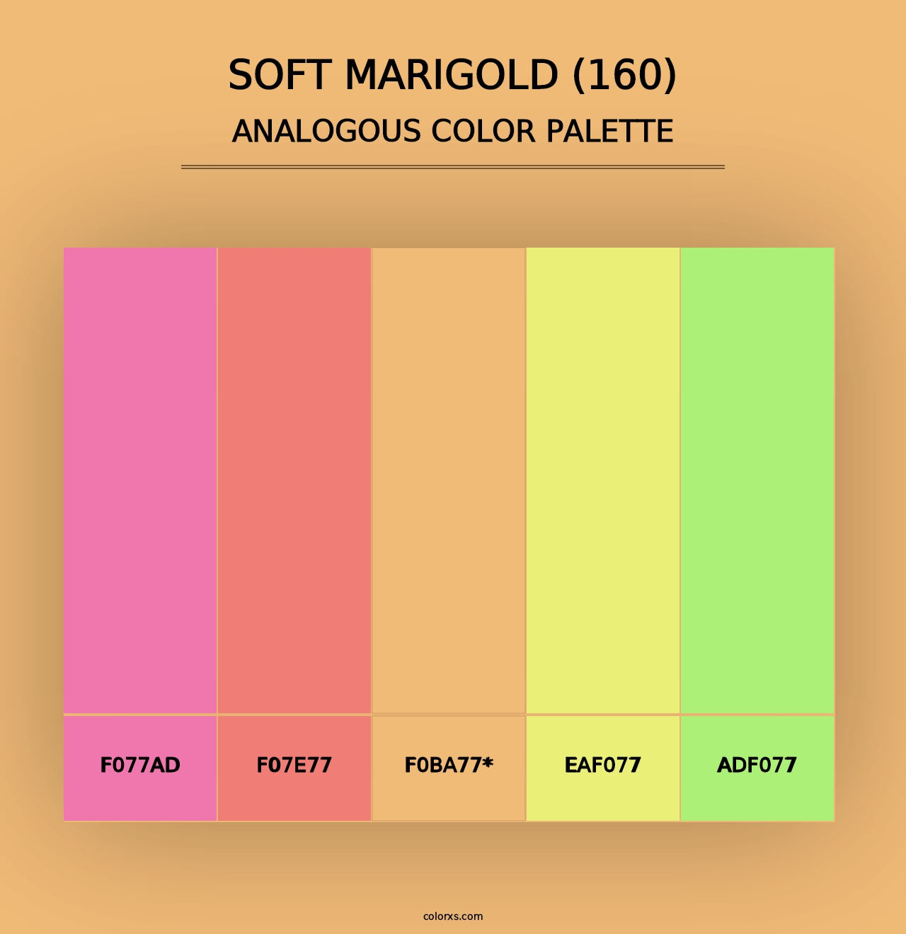 Soft Marigold (160) - Analogous Color Palette