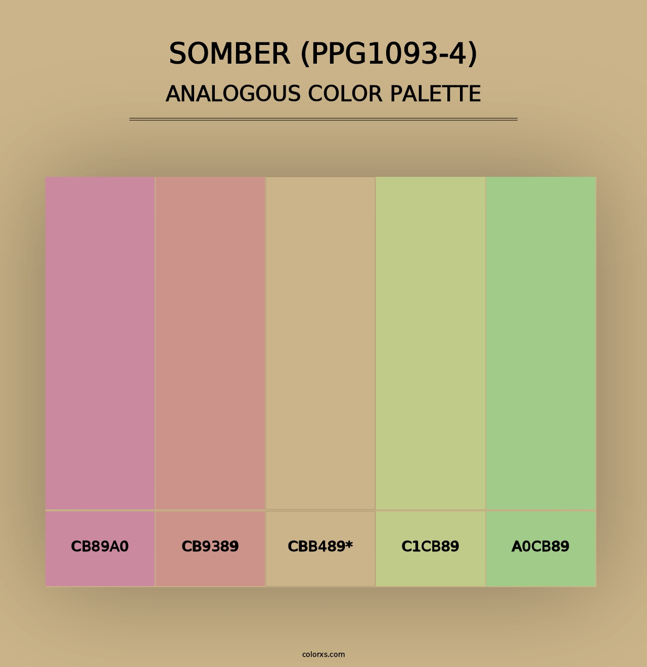 Somber (PPG1093-4) - Analogous Color Palette