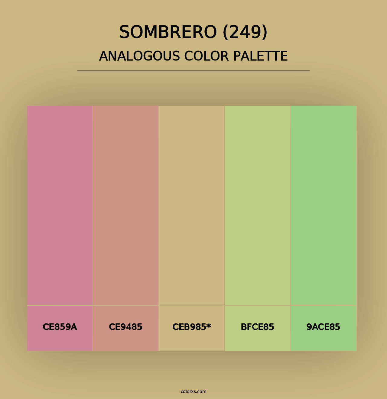 Sombrero (249) - Analogous Color Palette