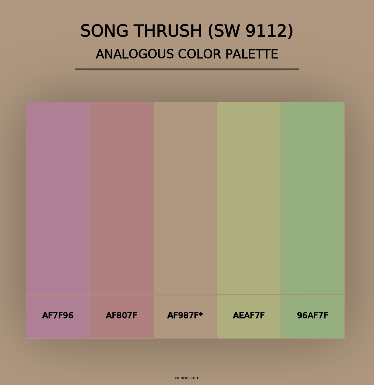 Song Thrush (SW 9112) - Analogous Color Palette