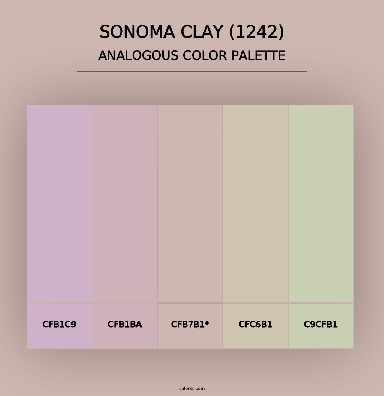 Sonoma Clay (1242) - Analogous Color Palette