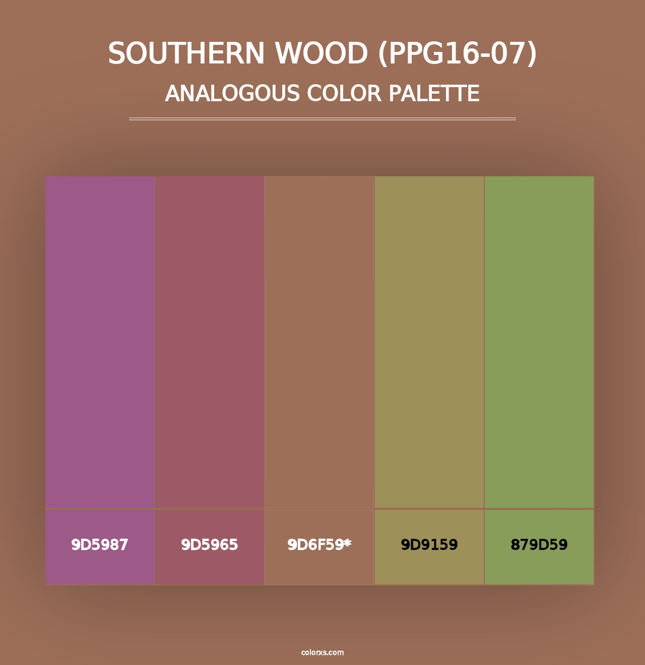 Southern Wood (PPG16-07) - Analogous Color Palette