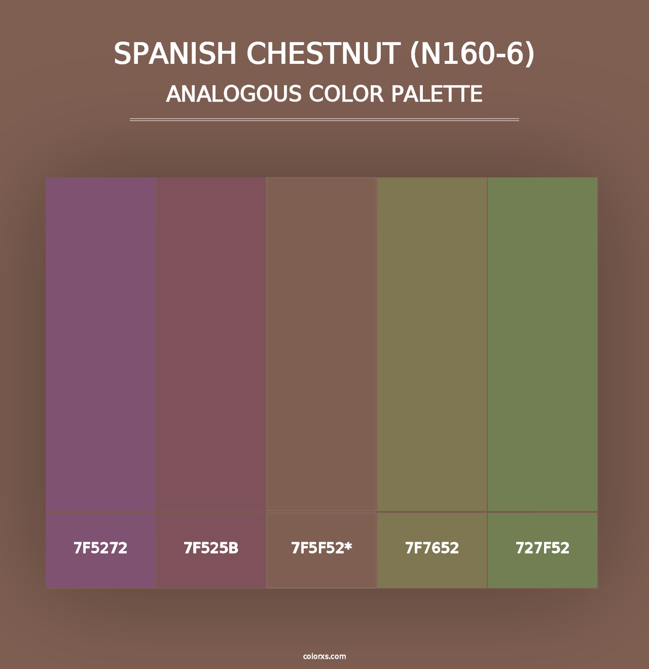 Spanish Chestnut (N160-6) - Analogous Color Palette