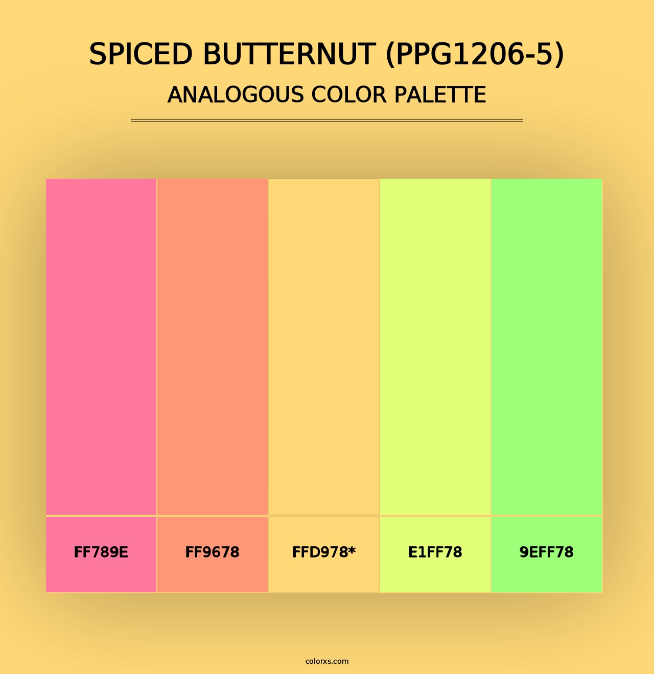 Spiced Butternut (PPG1206-5) - Analogous Color Palette