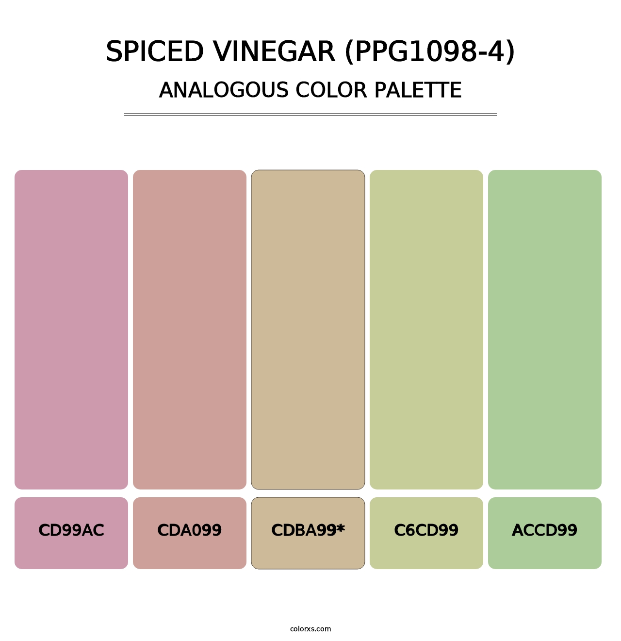 Spiced Vinegar (PPG1098-4) - Analogous Color Palette