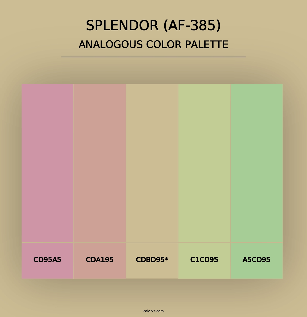 Splendor (AF-385) - Analogous Color Palette