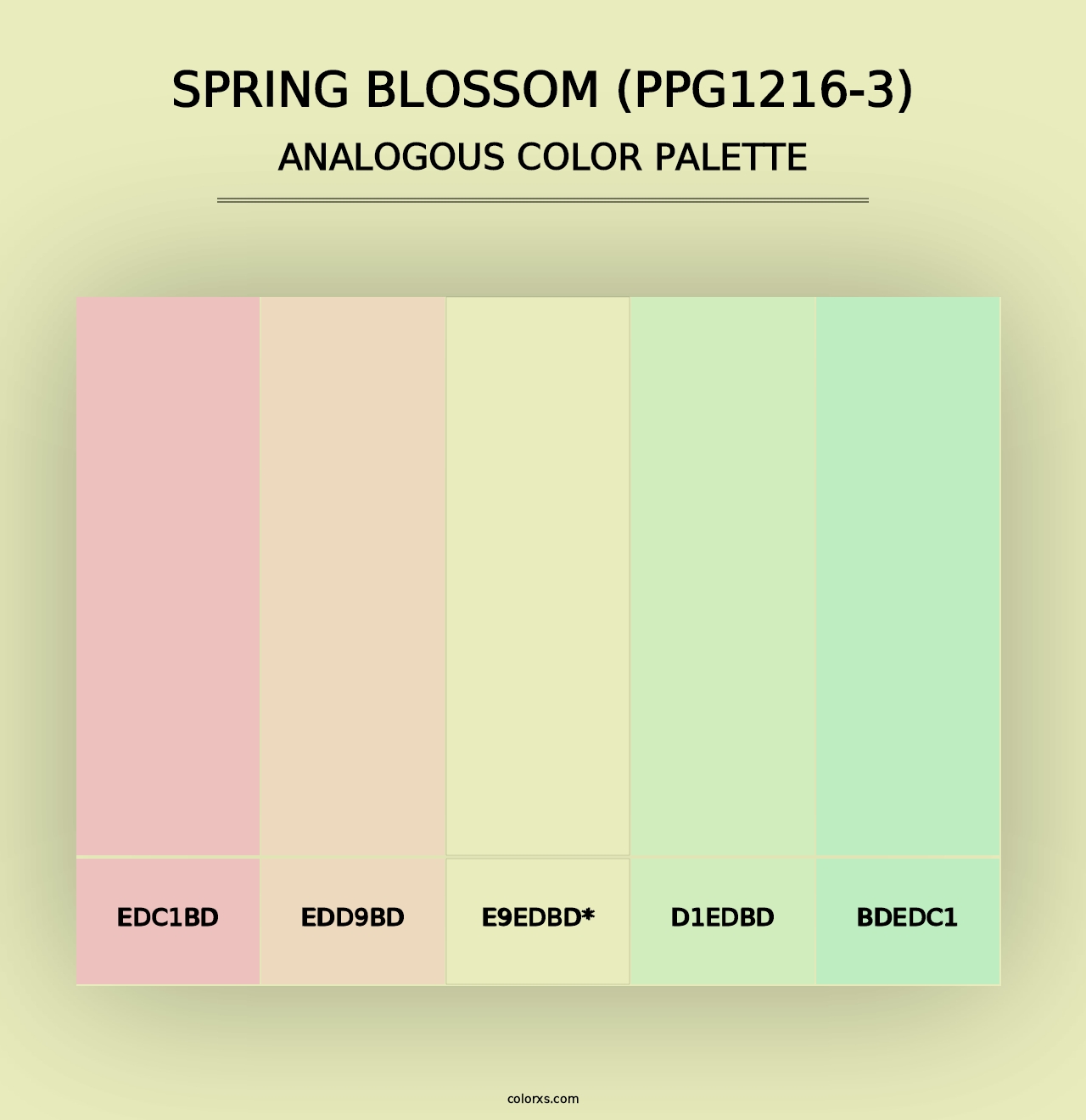 Spring Blossom (PPG1216-3) - Analogous Color Palette