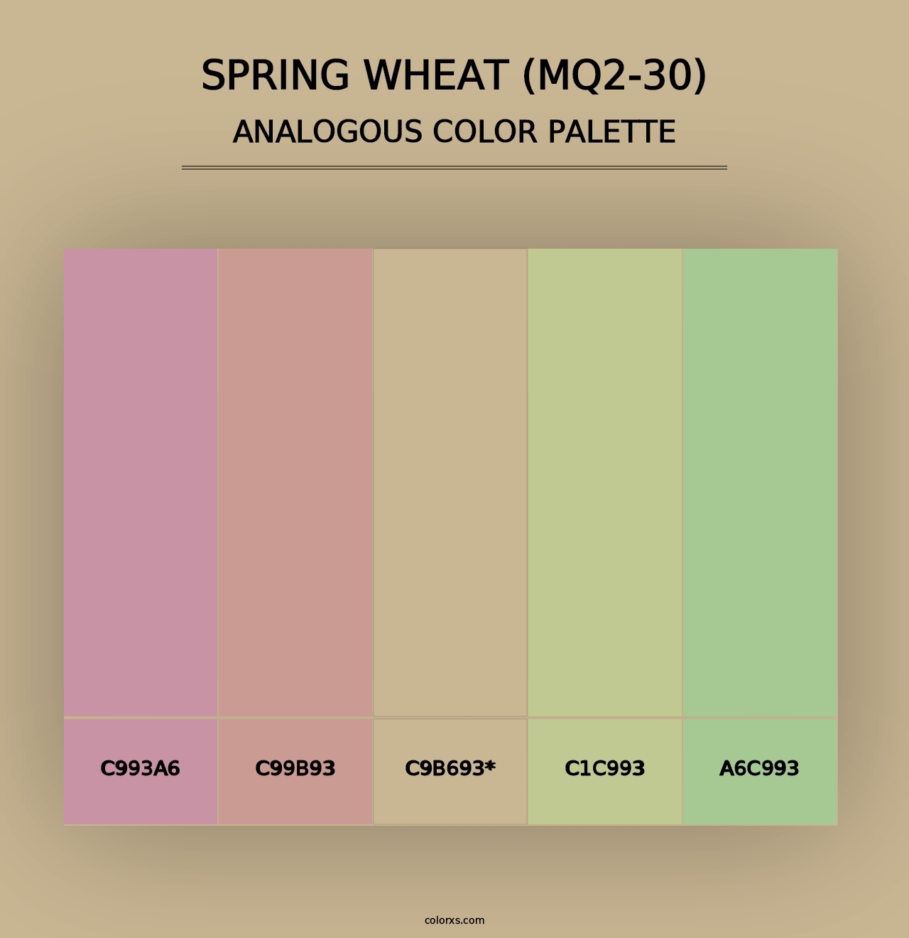 Spring Wheat (MQ2-30) - Analogous Color Palette