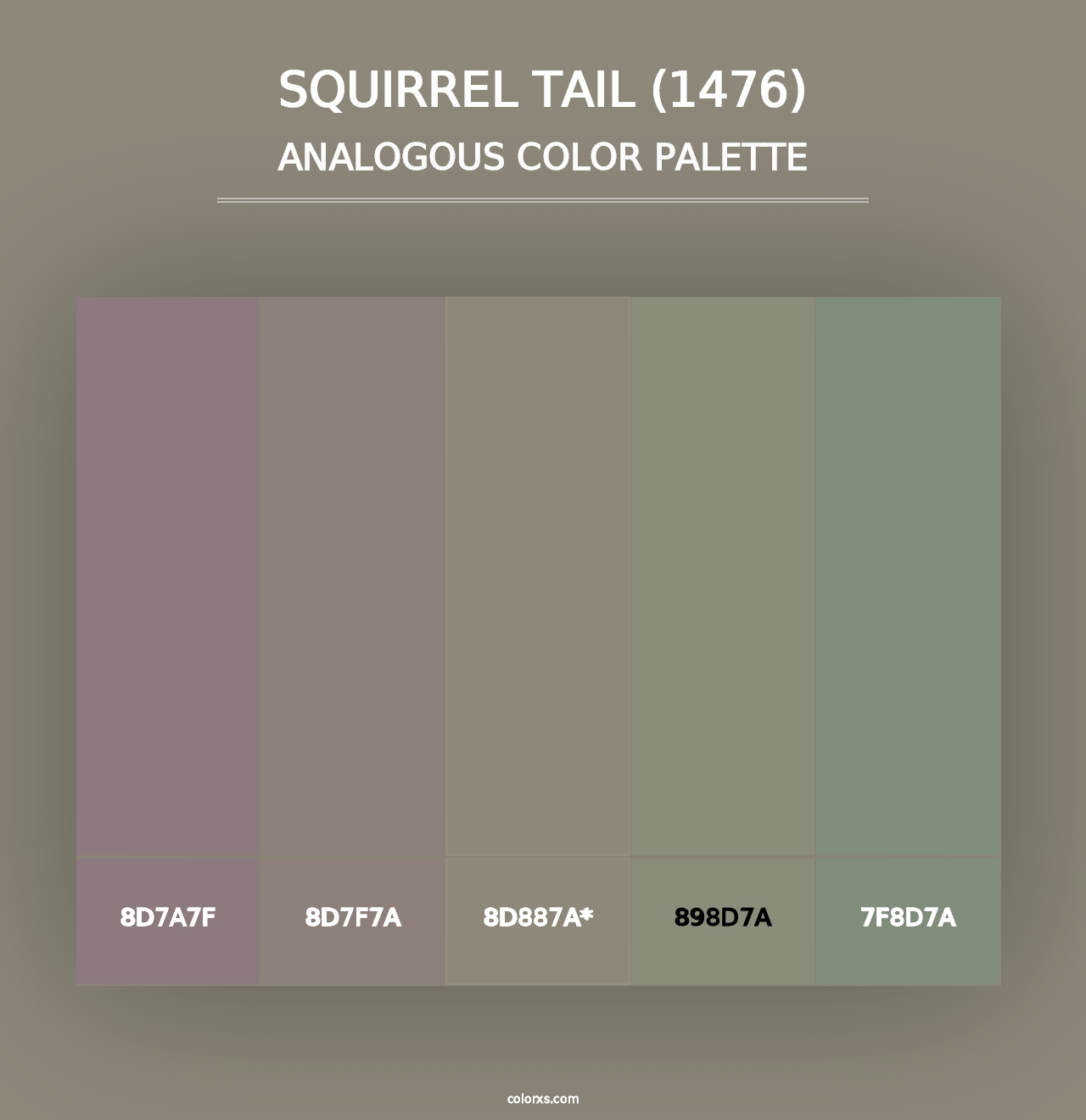 Squirrel Tail (1476) - Analogous Color Palette