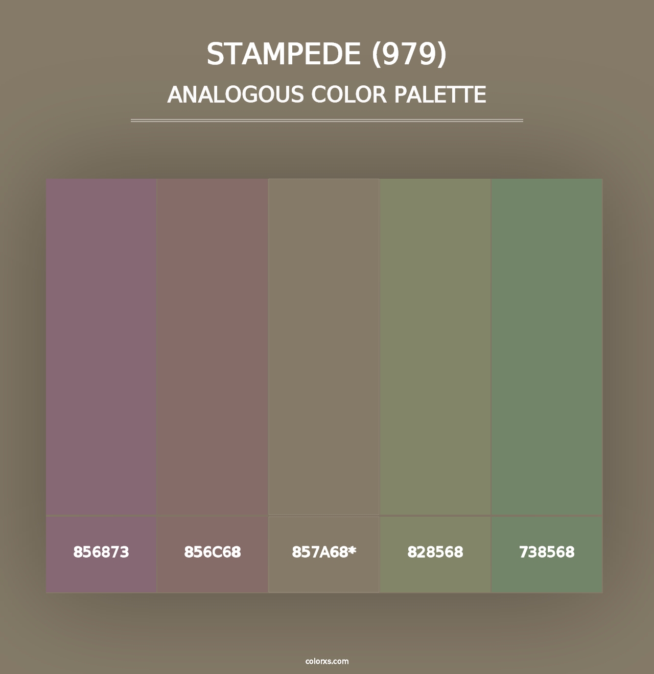 Stampede (979) - Analogous Color Palette