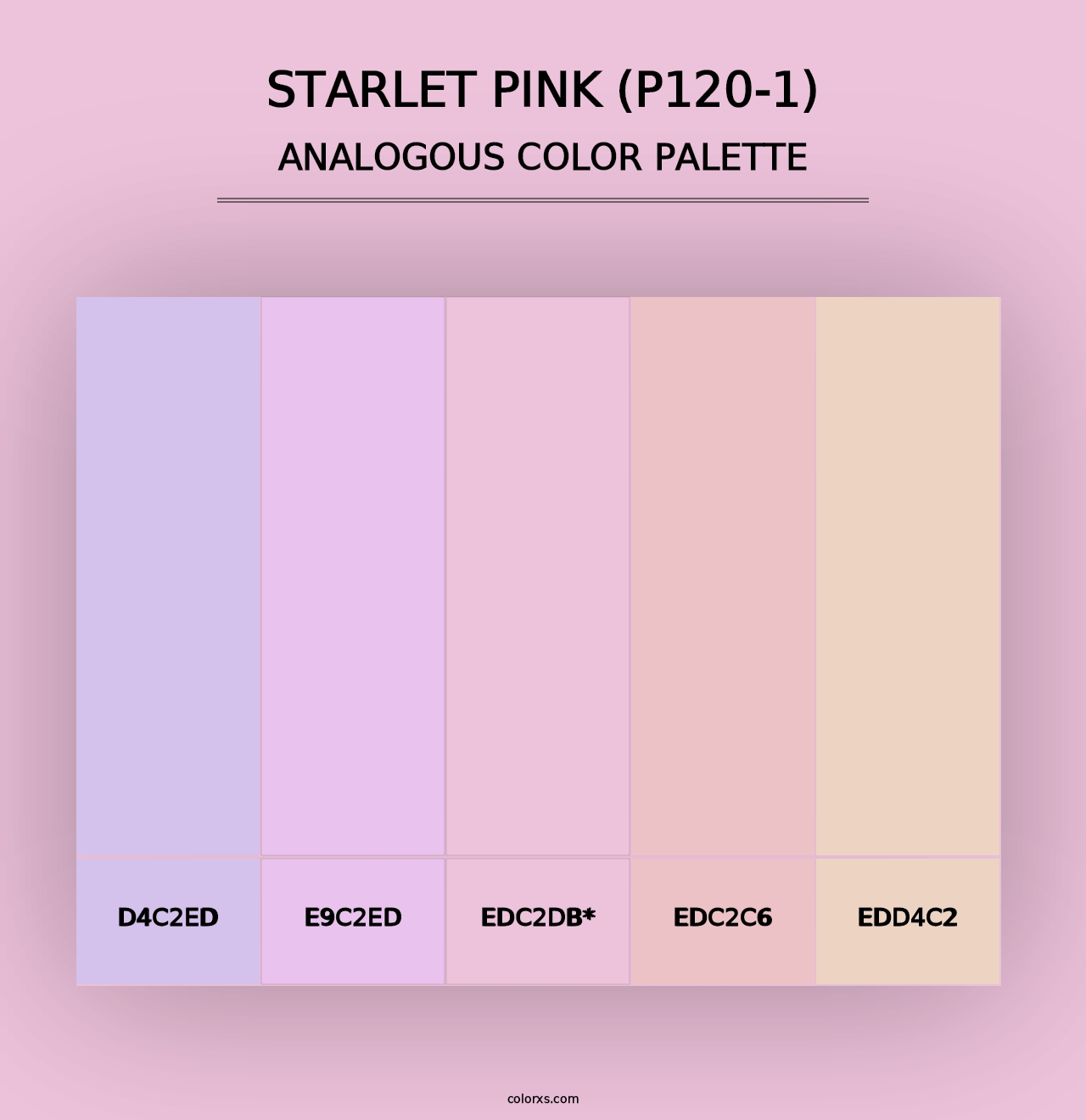 Starlet Pink (P120-1) - Analogous Color Palette